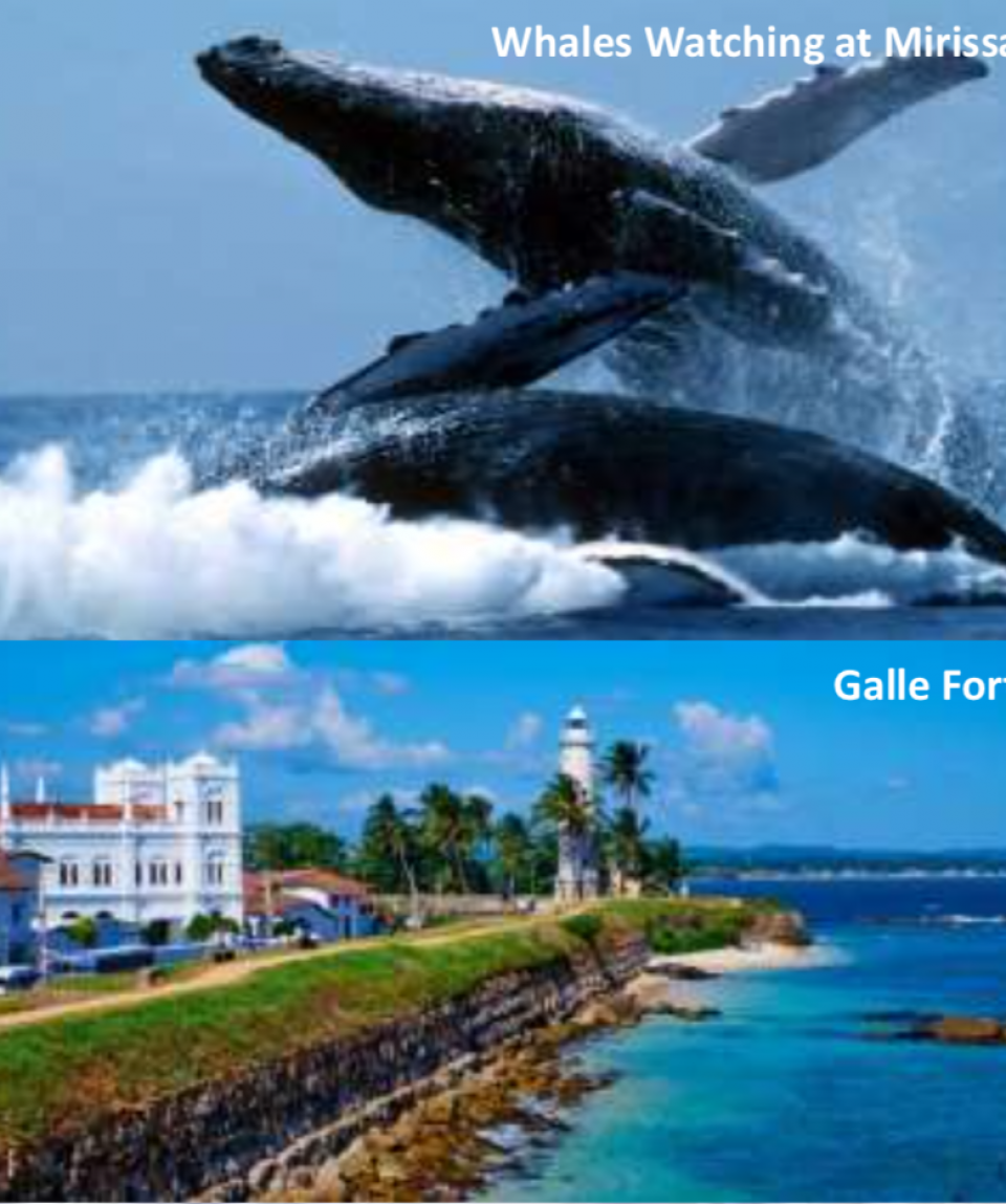 5 Days 4 Nights Sri Lanka, Dambulla, Minneriya National Park, Kandy, Temple of Sacred Tooth Relic, Unawatuna Beach, Mirrisa, Colombo