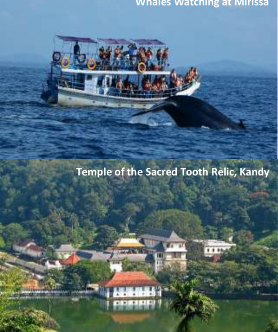 4 Days 3 Nights Sri Lanka, Kandy, Temple of the Sacred Tooth Relic,  Galle, Mirrisa’s Whales Watching Adventure, Colombo