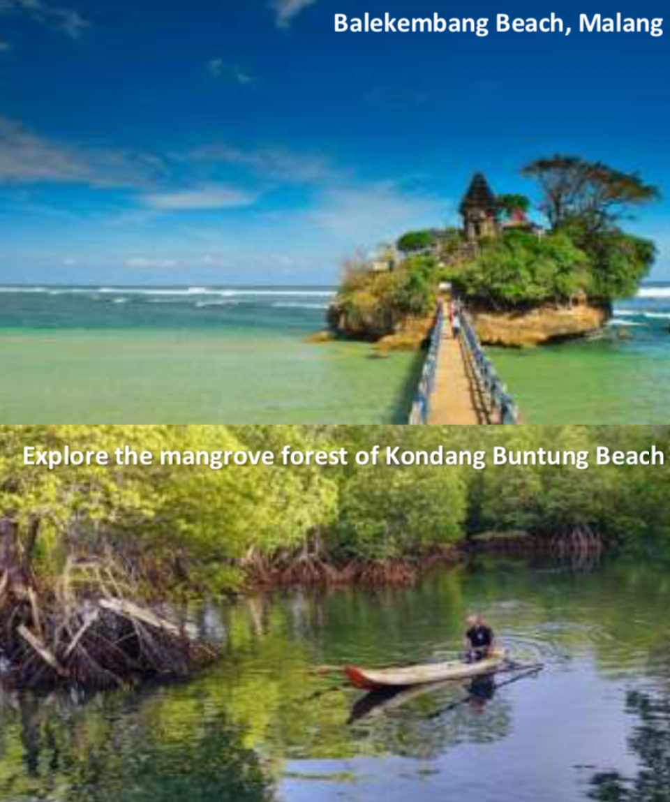 4 Days 3 Nights Surabaya, Malang City, Masjid Tiban, Batu Town, Balekembang Beach, Kondang Buntung Beach, Batu Secret Zoo