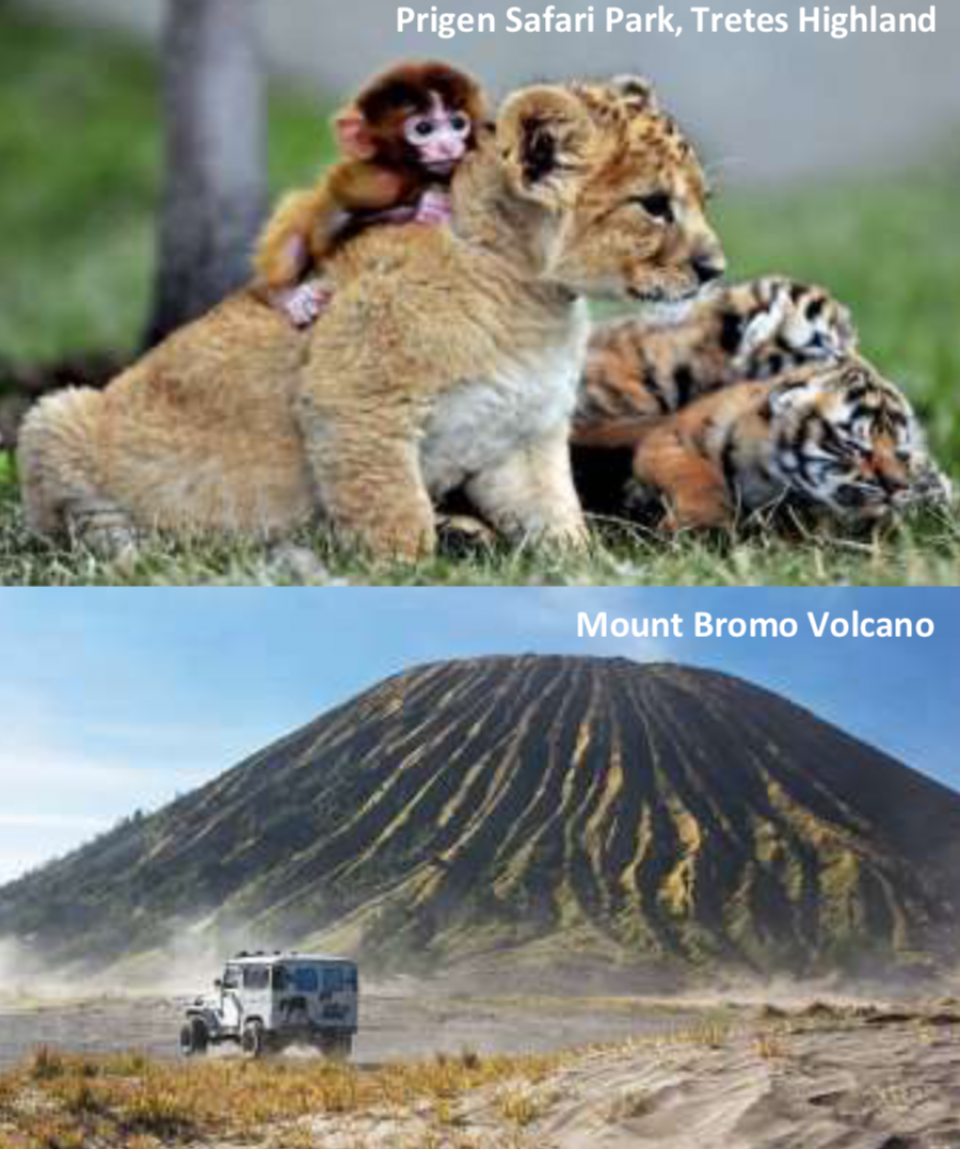 4 Days 3 Nights Surabaya, Bromo Tengger Semeru National Park, Mt. Bromo Volcano Crater, Tretes Highland, Prigen Safari Park