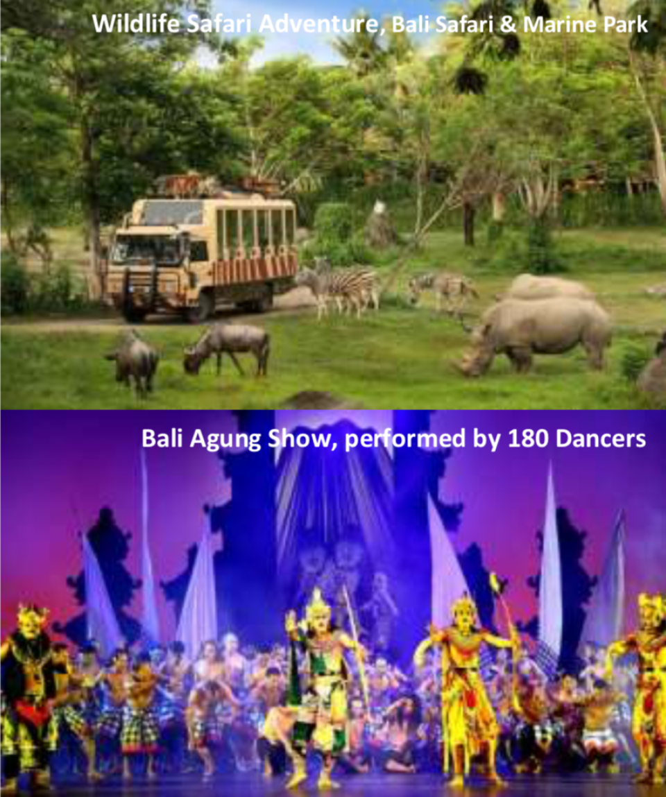 4 Days 3 Nights Bali, Mara River Safari Lodge, Bali Agung Show, Wildlife Safari Adventure, Swim with Dolphins, Uluwatu